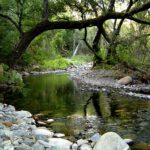 land buying tips