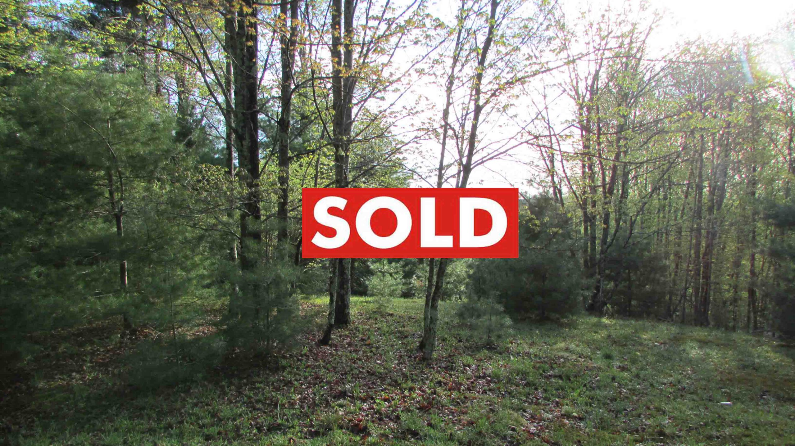 “HEAVENLY HILLS”  FOR SALE  One (1) Sprawling Acre – Greenfield Park -Nice country setting – Mt. views – Electric – 2 hrs/NYC – Only $8,800!!