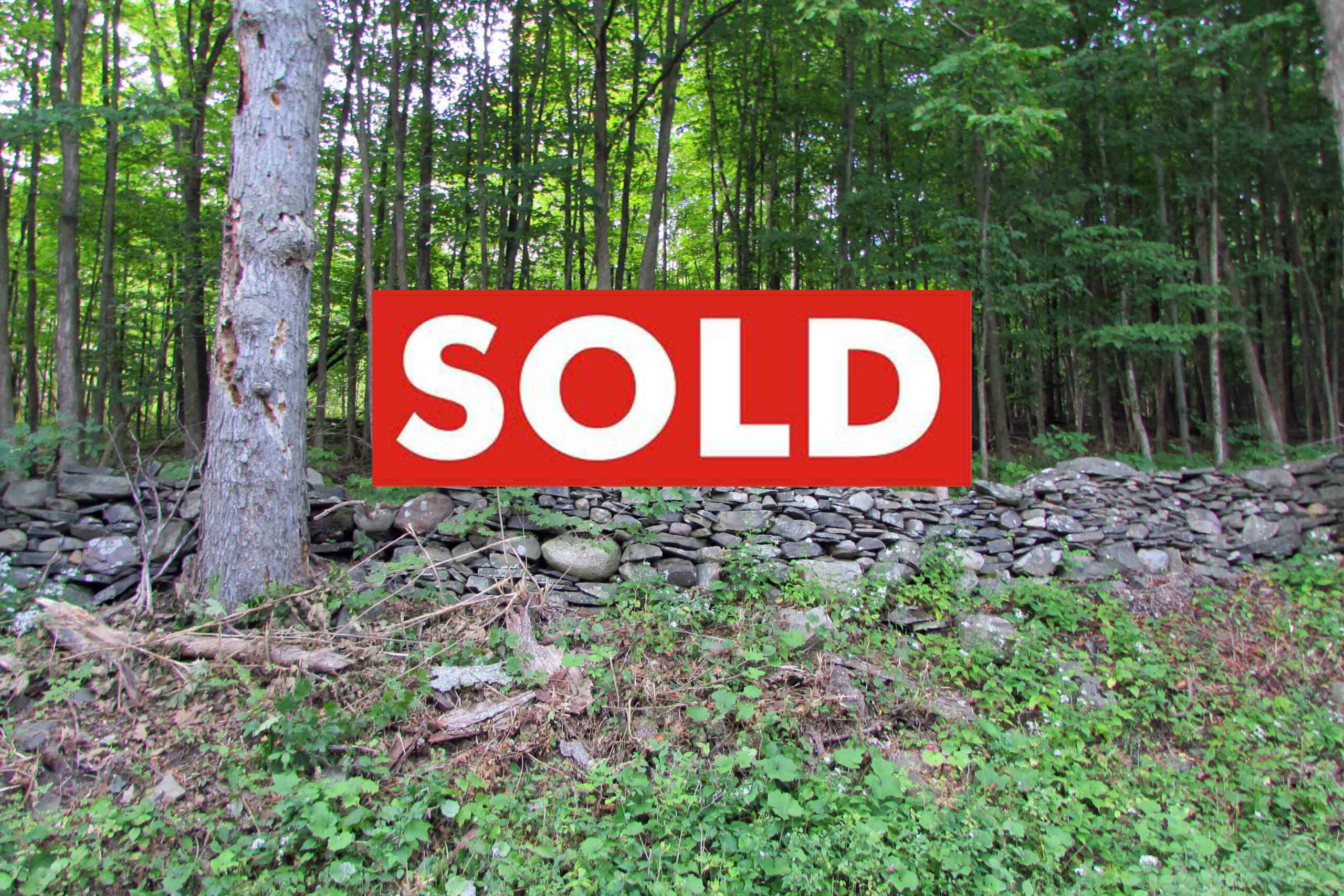 “STONEWALL ACRES” 4 Country Acres in DURHAM NY, 15 mins/Windham Ski, 2.5 hrs/NYC. Only $21,900