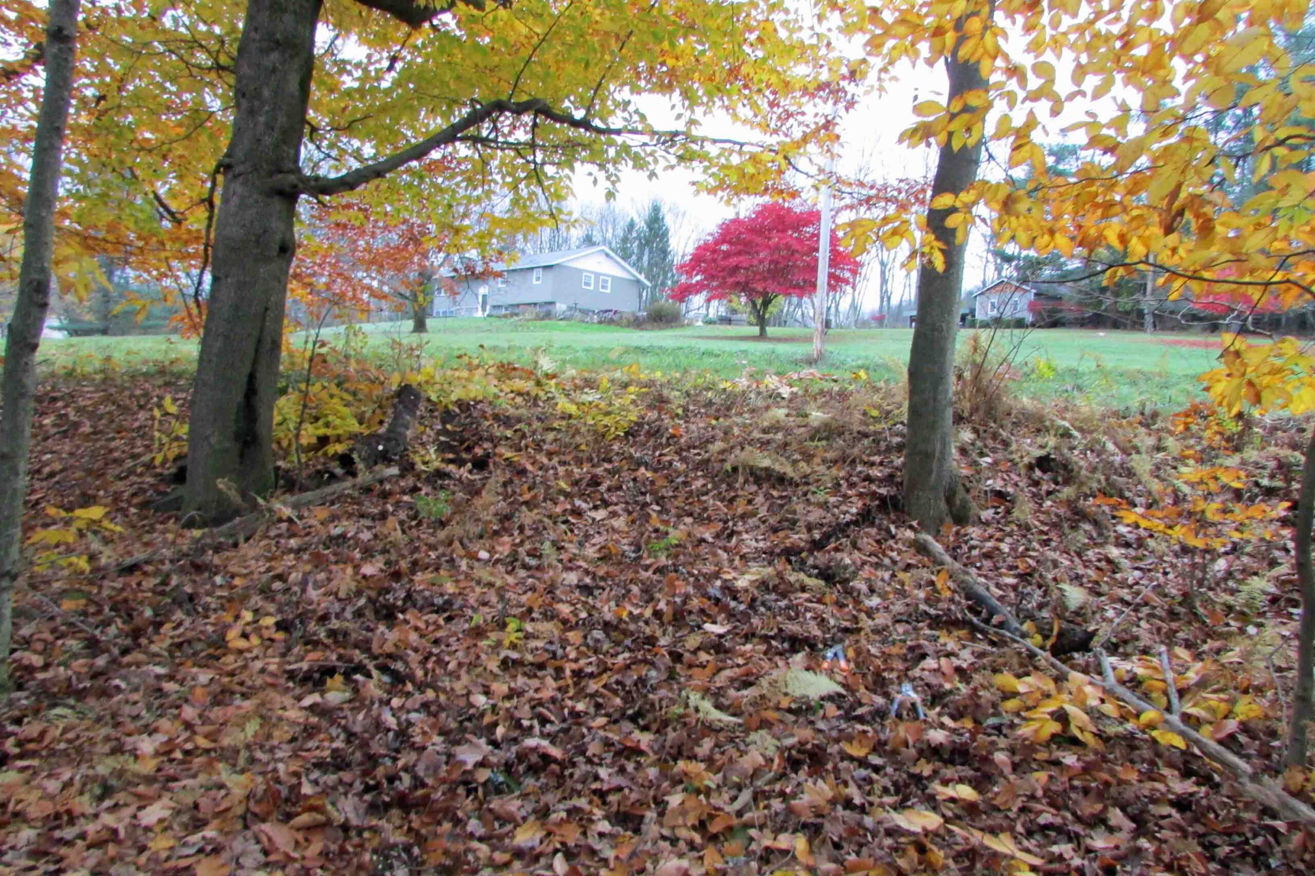 “NATURE’S CHOICE” 2.46 Rustic Acres Callicoon – Mins/Delaware River – 2.5 hrs/NYC – Part fields/woods – Views! Only $16,900!