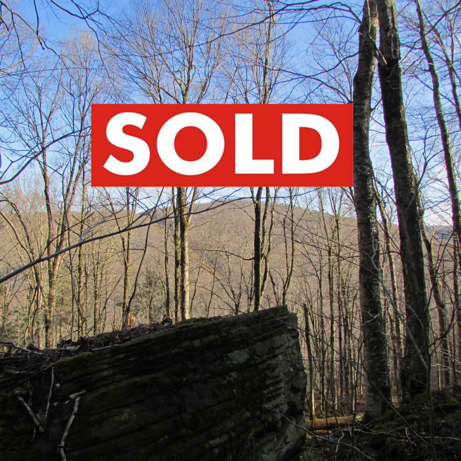 “The COUNTY LINE” – Where  Delaware &  Sullivan Counties  meet – Hancock, NY – 7.27 Secluded Acres – Mt views – 2+ hrs/NYC.