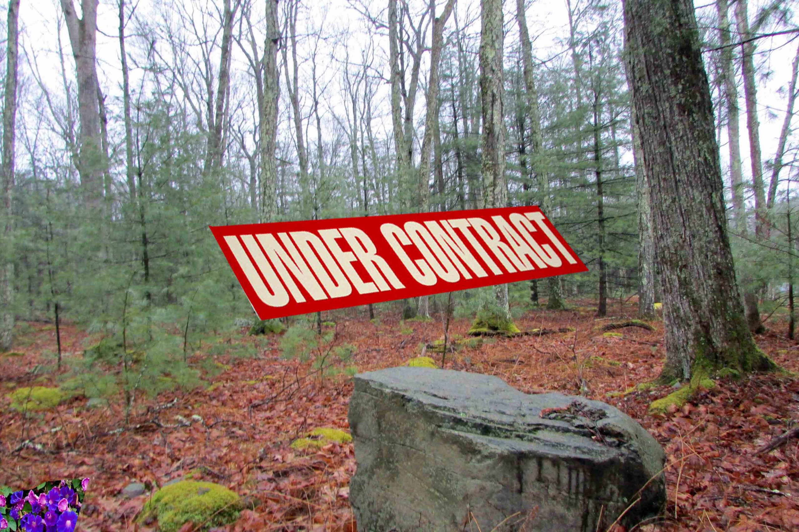 “The ONE” – 1.33 Rustic Acres in Glen Spey – Level – Lightly Wooded – Newly Paved Rd – Mins to Delaware – 2 hrs/NYC! – Only $10,900
