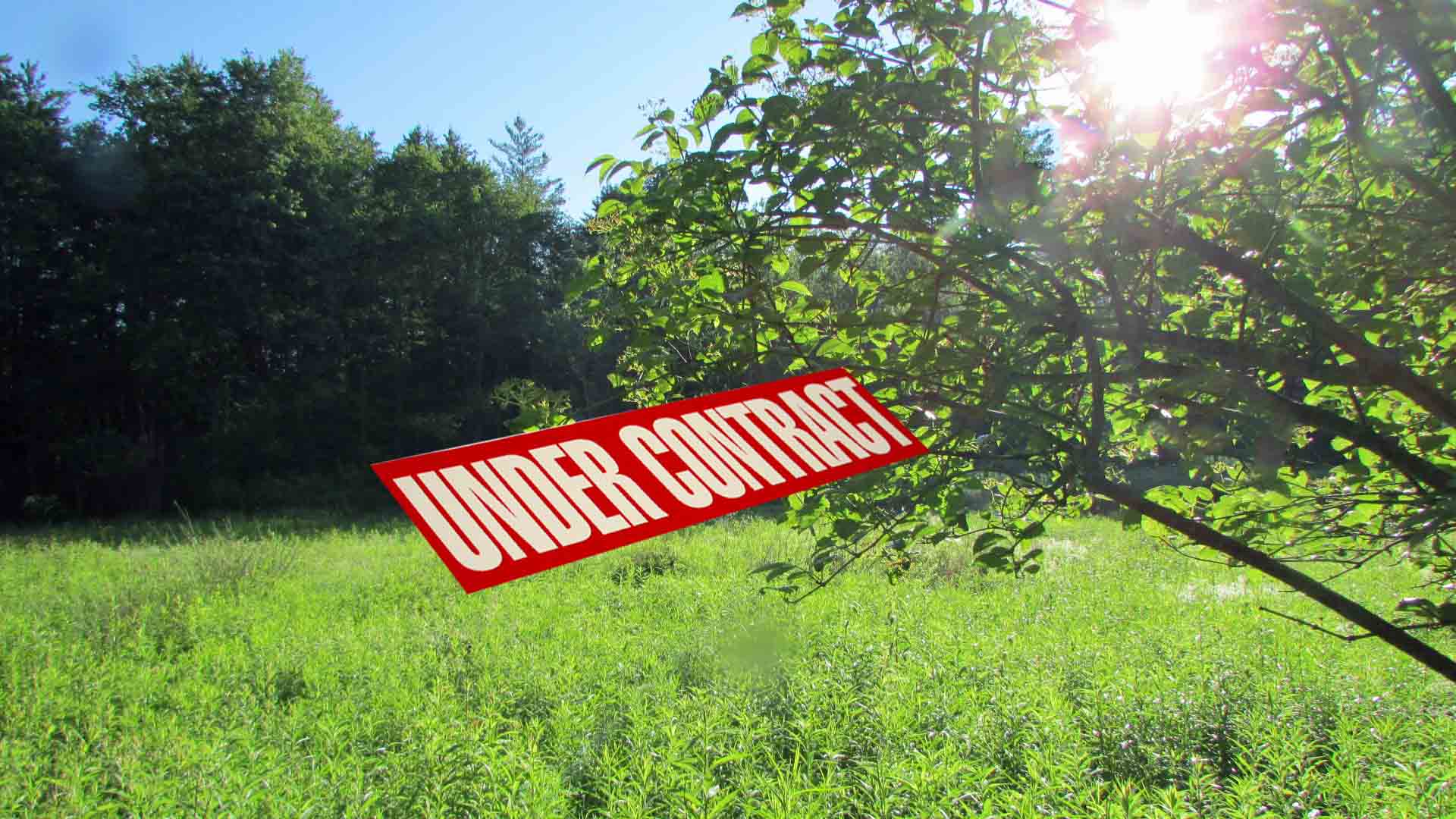 “THE SUNS of LIBERTY” Offering 5.5 Bright Acres Liberty, NY – Corner lot – Half cleared/Wooded – Level – Views – D/W – Electric – Seasonal stream – 2 hrs NYC! $24,900!