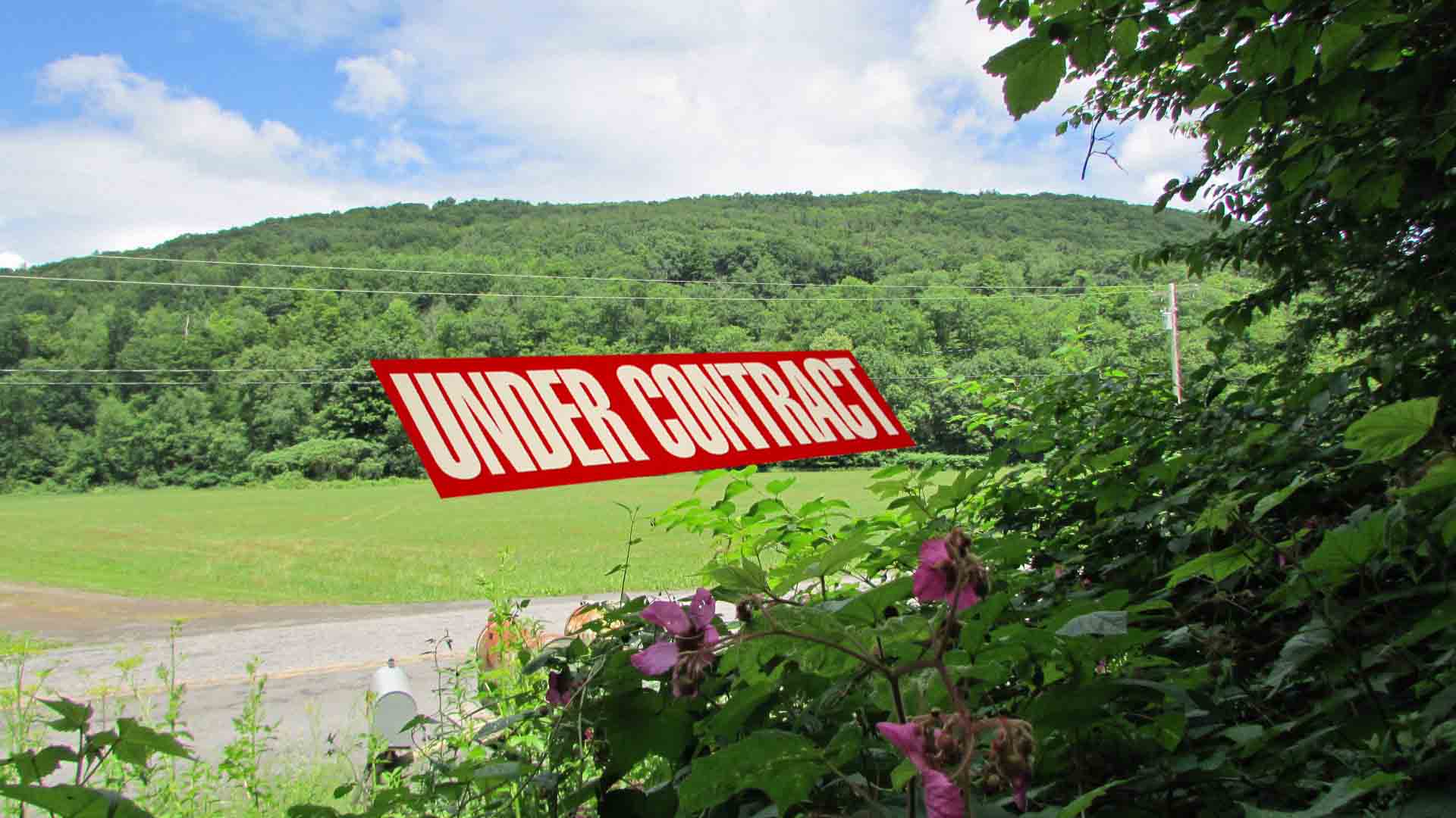 “The MAGIC” of Middleburgh – 23.7 Magical Acres Schoharie County – Adjoining State Land – Mt views – No zoning restrictions – RVs OK! – 3 hrs/NYC –  Won’t last at $29,900!