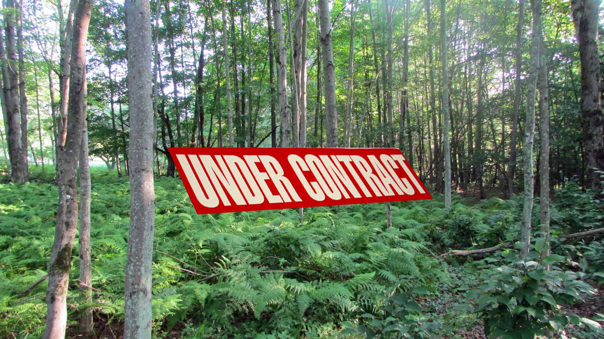 The “Roundabout Way” – 1.9 Private Acres – Level, Part Clear, Part Wooded – 360 ft Frontage on 2 Rds – Great location – Only $15,900!