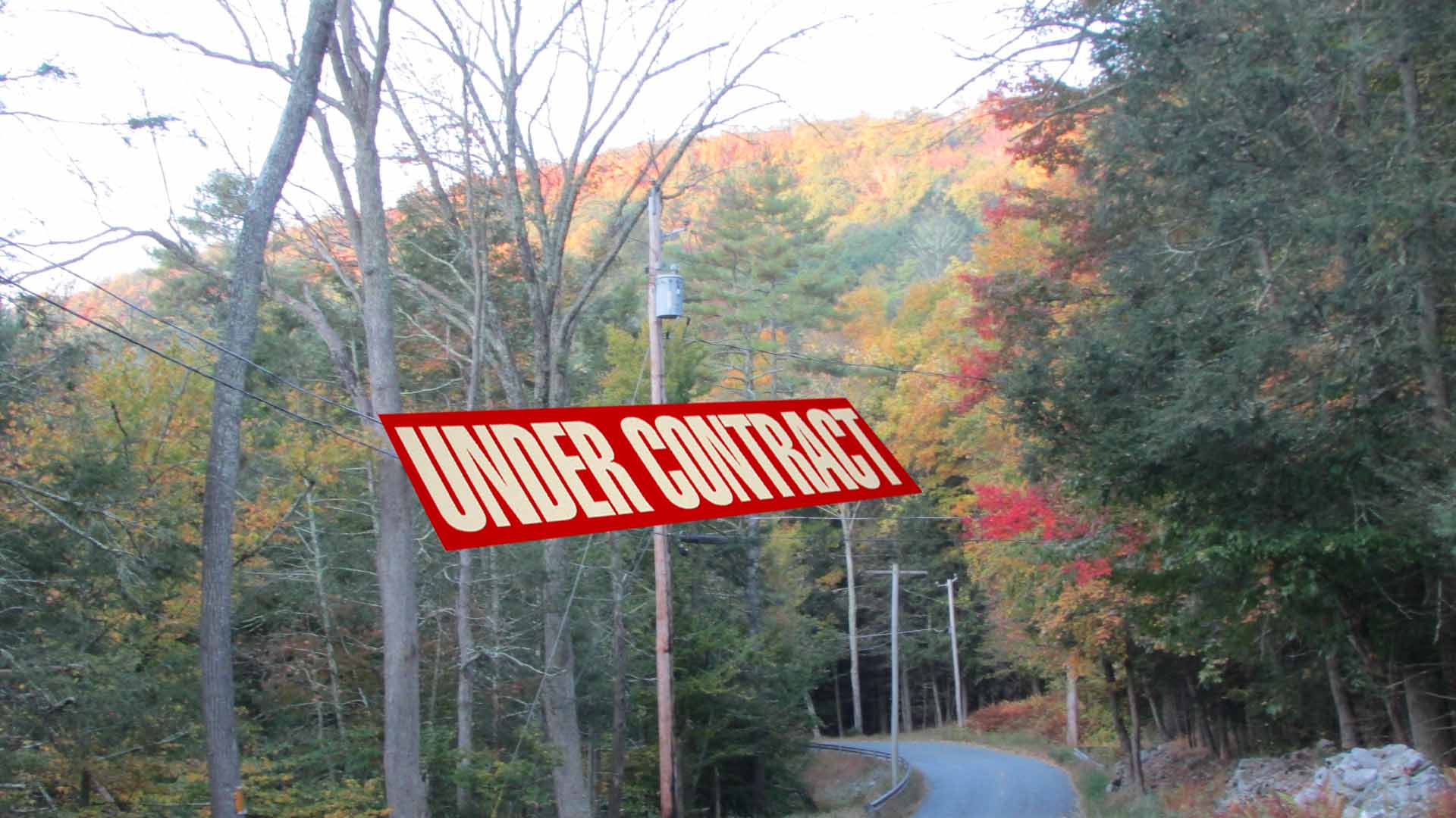 “Picture Perfect” in Mamakating – 2.45 Scenic Acres – Home site cleared – Driveway – Electric – Ready to go – 2 hrs/NYC – Only $21,900!