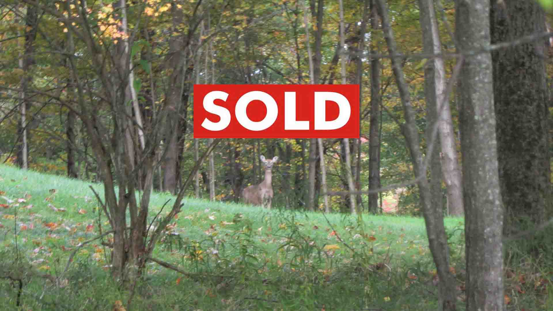 “HEAVENLY” in Hurleyville – 3.27 Stellar acres – Part clear/wooded – Stone walls – Level – Ideal for country home-site. RV’s OK. Only $21,900!!
