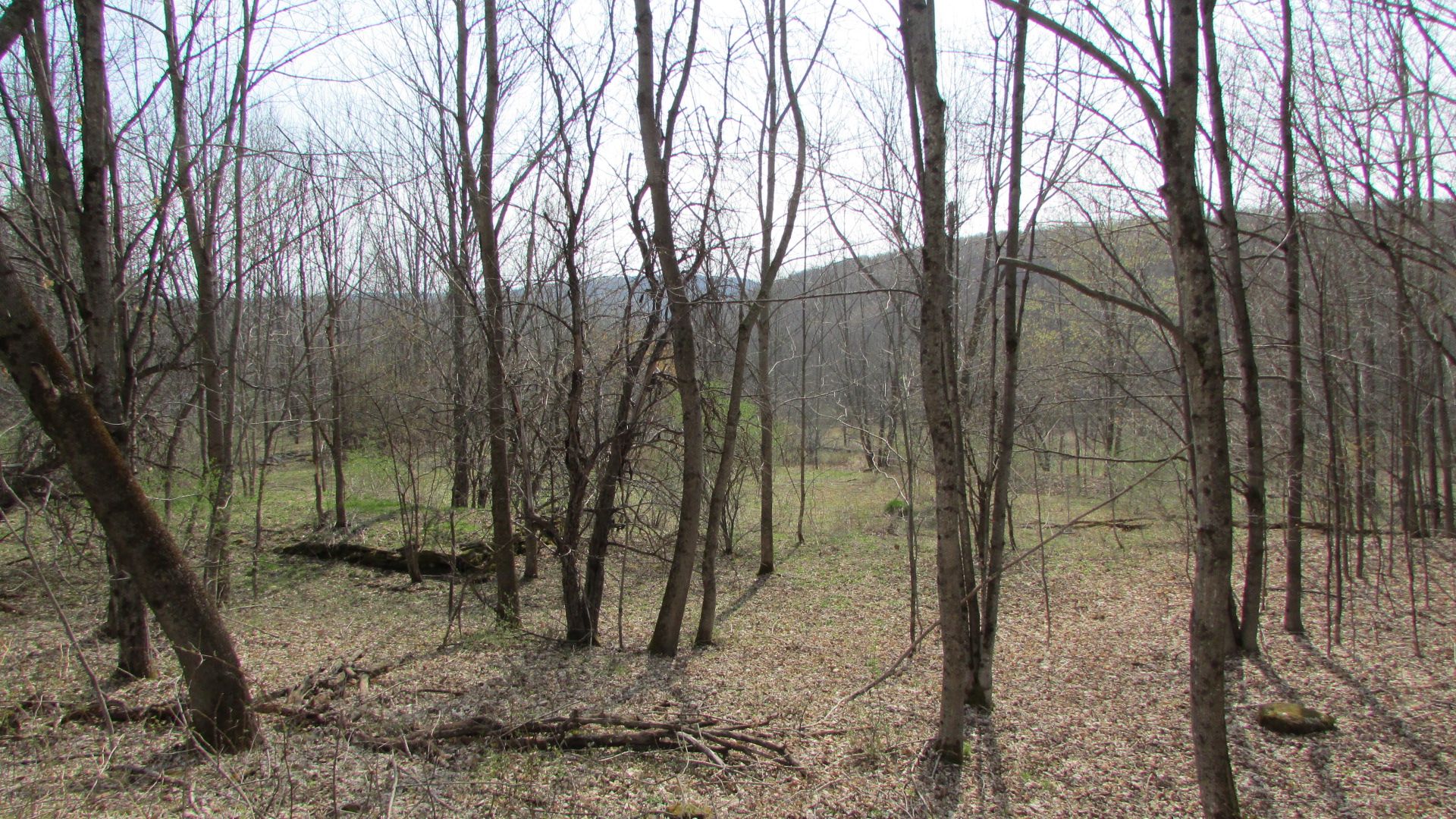 “FIELD” – 3 Fertile Acres of Country Fields – Some Woods – Jefferson, NY – Mt views – Stone walls – RVs OK!  – 3 hrs/NYC!