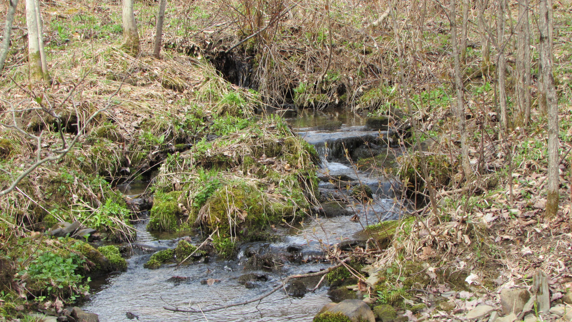 “STREAM” – 5.36 Country Acres – Jefferson, NY- Sweet flowing STREAM  – Mt views – Stone walls – RVs OK!  – 3 hrs/NYC – New Driveway!