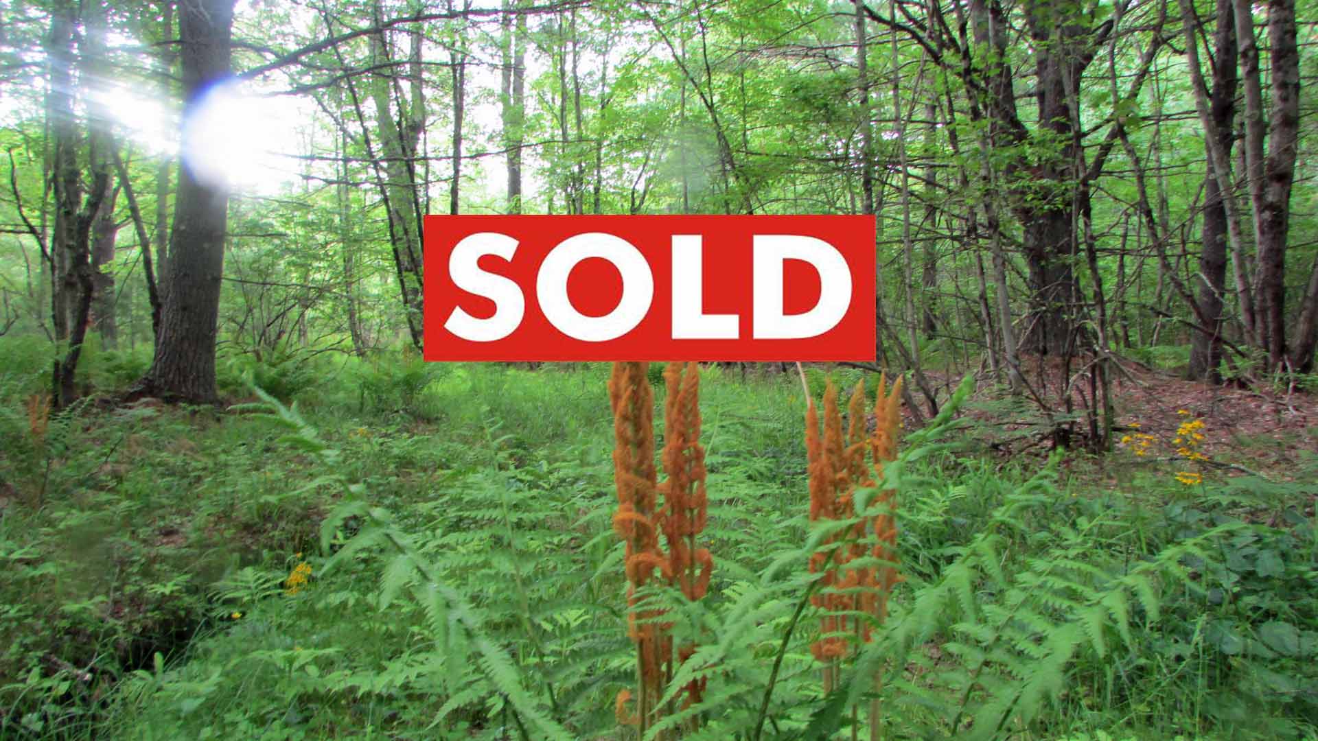 “TRAILS END” 3.5 Waterfront Acres Greenfield Park- Level – Wooded – Adjoining West Branch Beerkill – Great location –  Deeded ROW – Only $19,900!