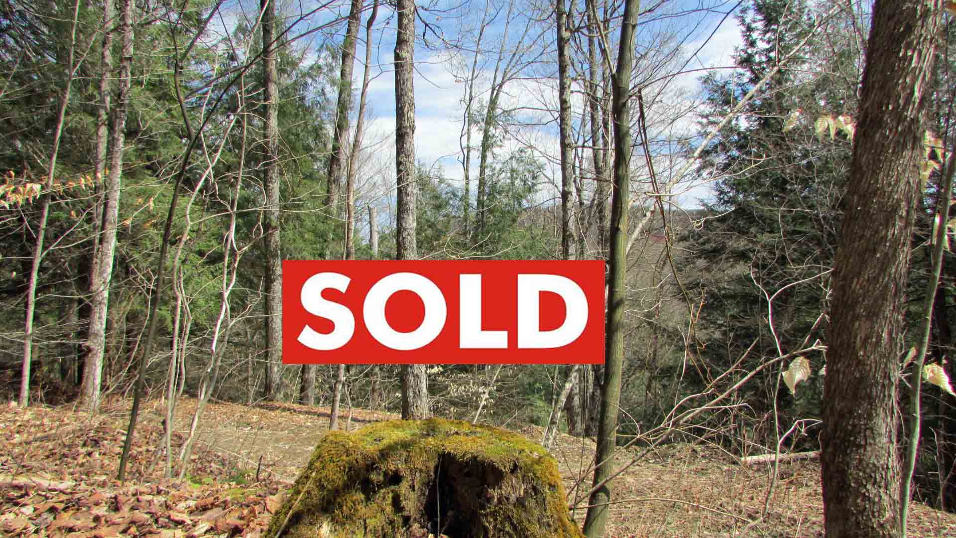 “Hi-Vue” – 5 Unique Hill Top Acres Decatur NY- Hunting Cabin – Outhouse – Shed – Mt. Views – Only $25,900!