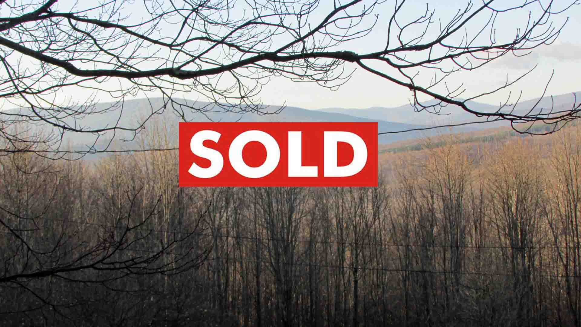 “Bad Betty” – 3.5 Rustic Acres Betty Mt Rd, Halcott NY – No town rd – No electric – No W&S – The most beautiful property you hate to love!  Adjoins state land! Only $17.9k!