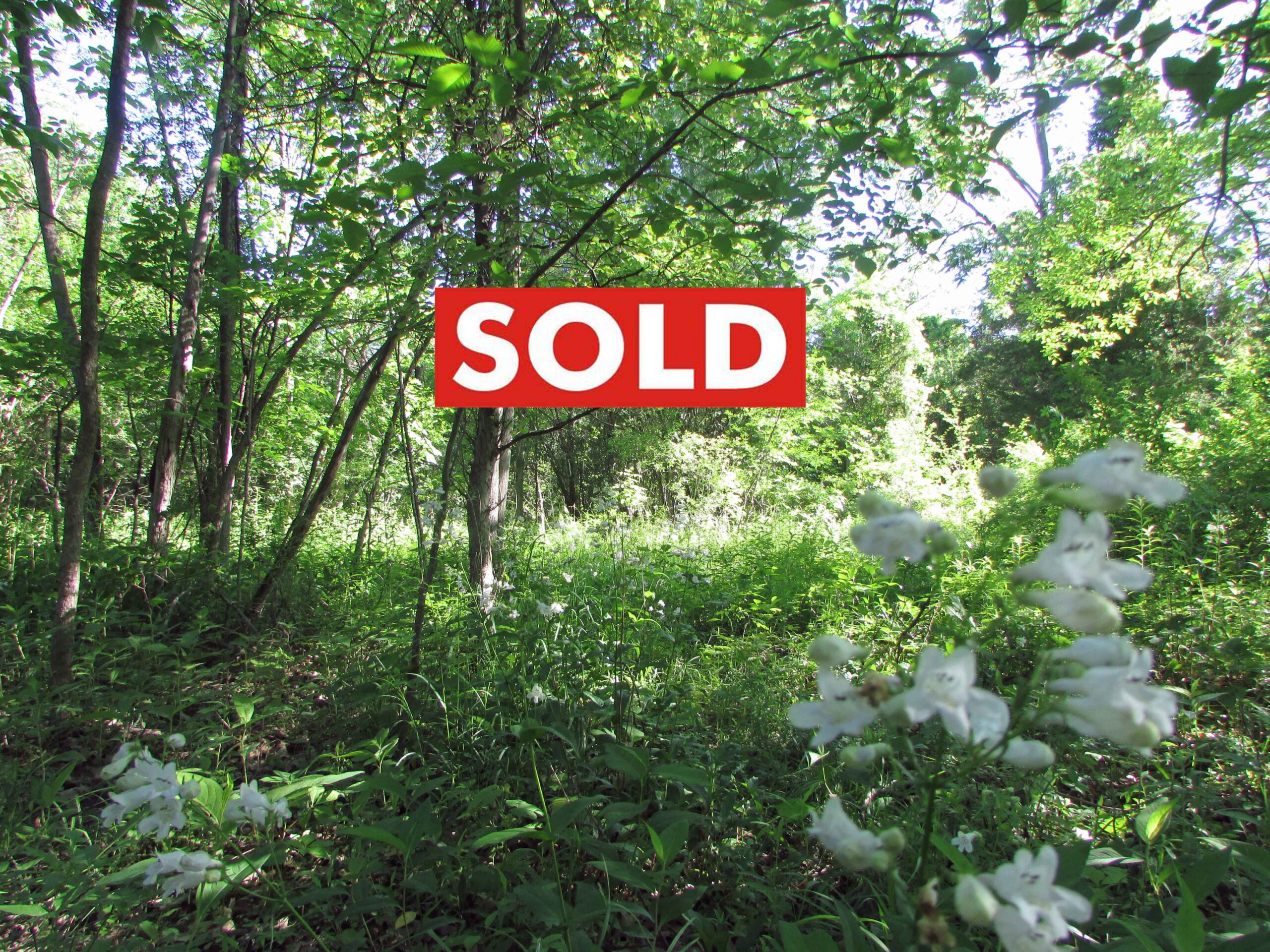“TRUE GREENE” 2 Private, Level, Wooded Acres N. Baltimore, Greene County – Mins to Hudson – 2.5 hrs/NYC – Only $14,900