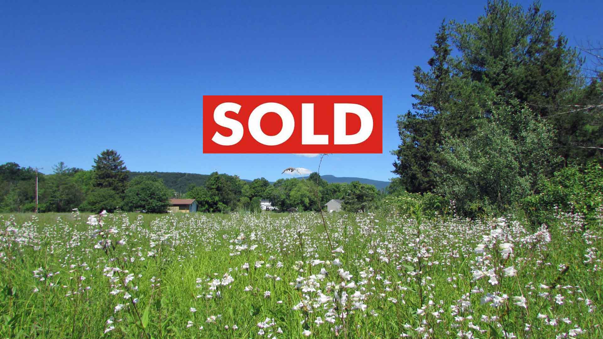 “LILY FIELD” 3 Luscious Acres Saugerties NY – Fields & Woods – Level – Some Engineering – Survey – Mt views – Borders pond in rear – Great loc – Only $26,900!