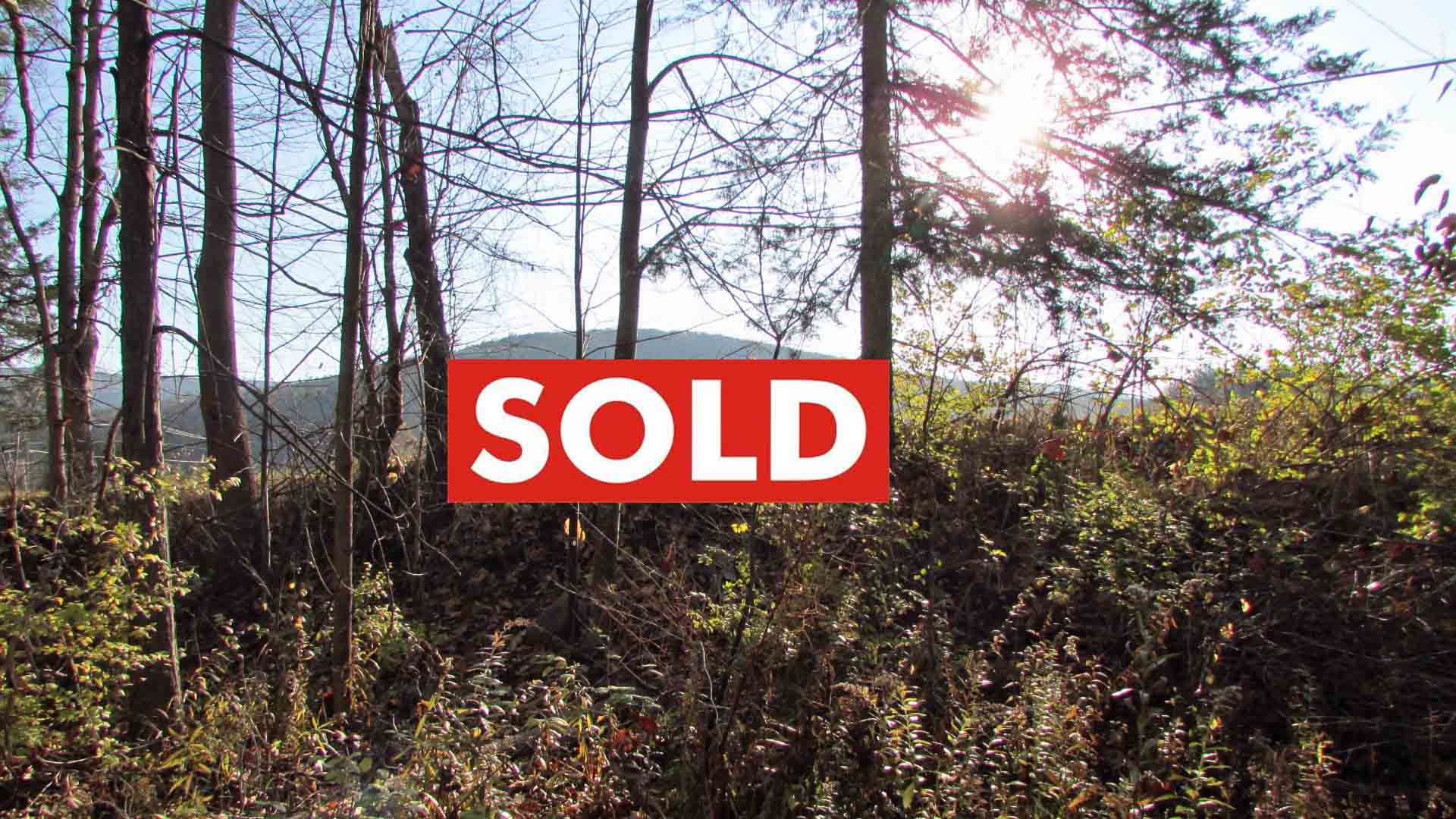 “RISING SUN” For Sale -10 Mt side Acres, Long & Lean, Pond, Creek, Mt views. Walk to State Park. 3 hrs/NYC. Only $19,900!
