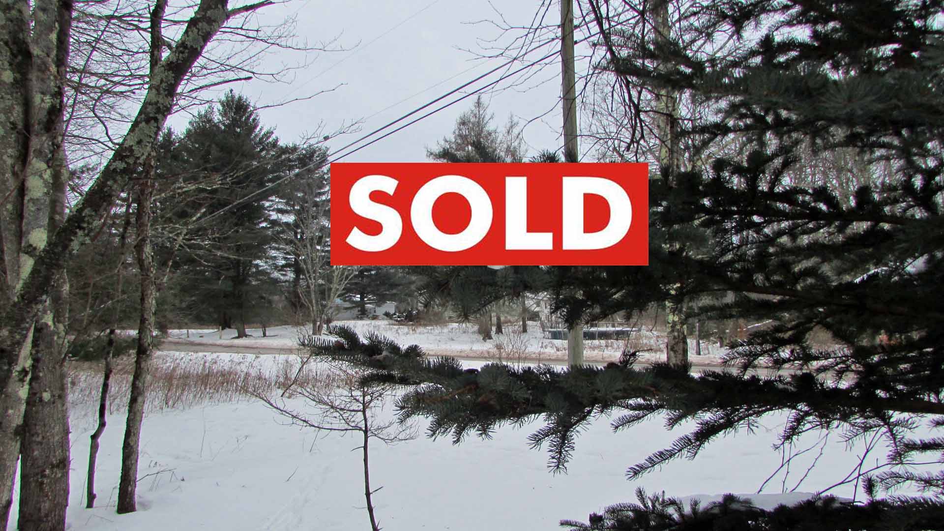 “LEGENDS” in Liberty – 3 Level, Wooded, Country Acres – Electric – RVs OK! Under 2 hrs/NYC – Only $14,900!