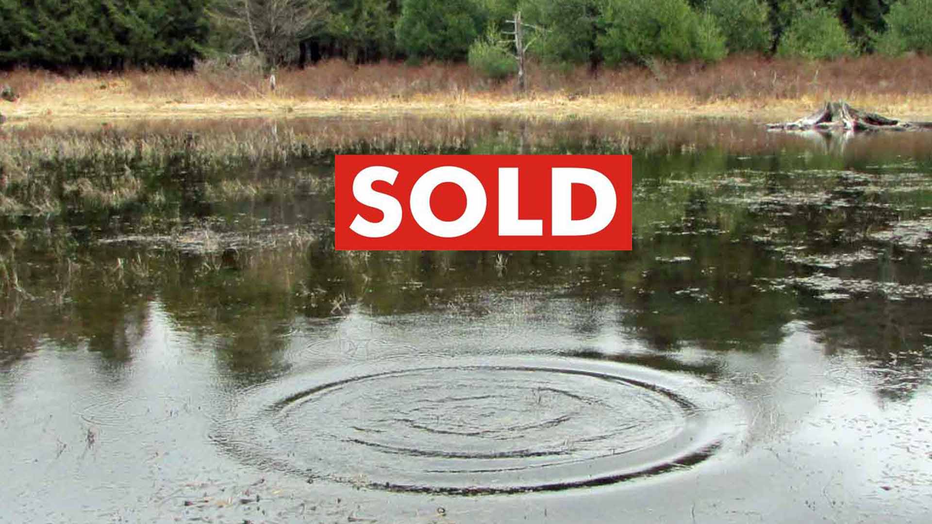 “RIPPLE” – 10 Chill Acres, Coventry NY – Stream & Pond – Fields & Woods – Mt views – RVs OK – Only 3 hr/NYC