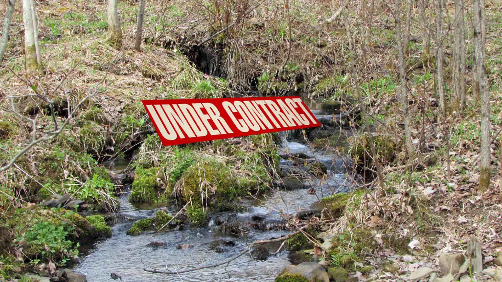 “FIELD” & “STREAM” – 2 Choice Properties – 3 acres of Fields & 5.3 acres w/sweet flowing stream – RV’s OK!! – New driveway – Spring Fed Well – Mt views – Jefferson, NY – 3 hrs/NYC!! Only $15,000 down!!
