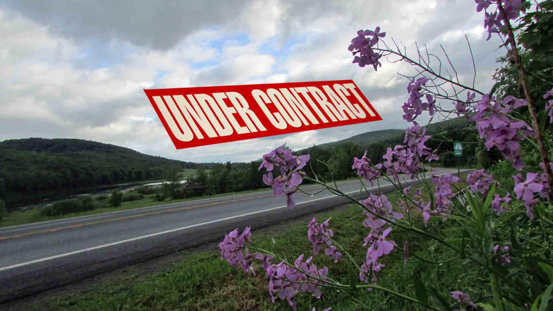 “DEEP PURPLE” 7.2 Classic Acres Broome, NY Mt views – Across from state land – RVs OK Only $22,900!