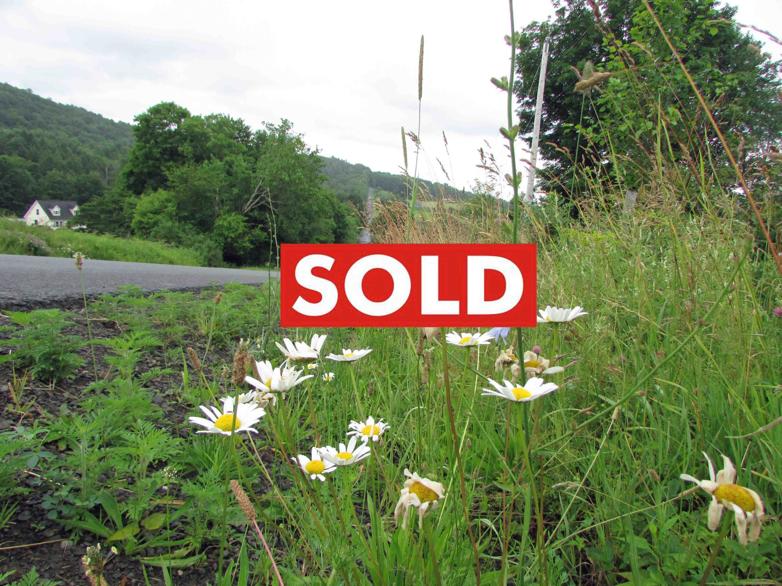 “SHADY FLATS” 2.42 Country Acres – Level – Woods & fields – Mt views – Good road – Fence – Electric – No zoning restrictions – Only $15,900!