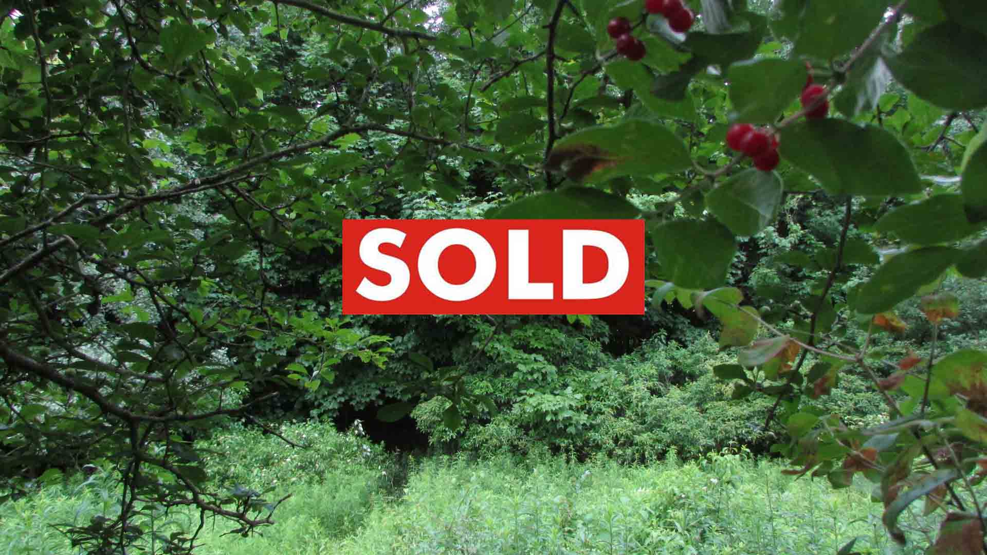 6.5 “BERRY NICE” Acres, Pittsfield, NY – Good road, Mt. views, Woods & clearings, Level to gently elevating, No Zoning, 3.5 hrs/NYC – Only $21,900!