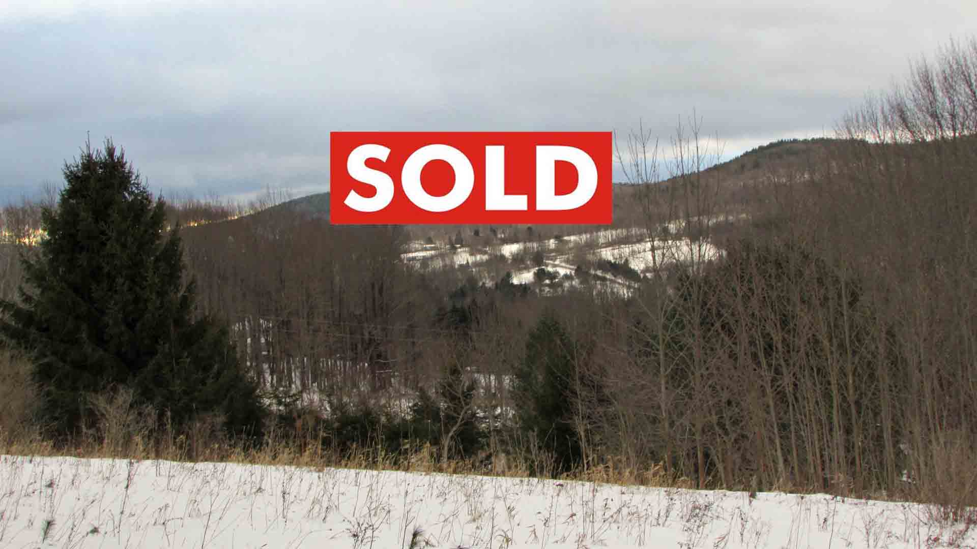 “SIMPLE LIFE” 1.48 Acres Jefferson NY – Part  clear/wooded – Stream – Mt views – RVs OK – Mins to state land – 3 hrs/NYC – Only $18,900!