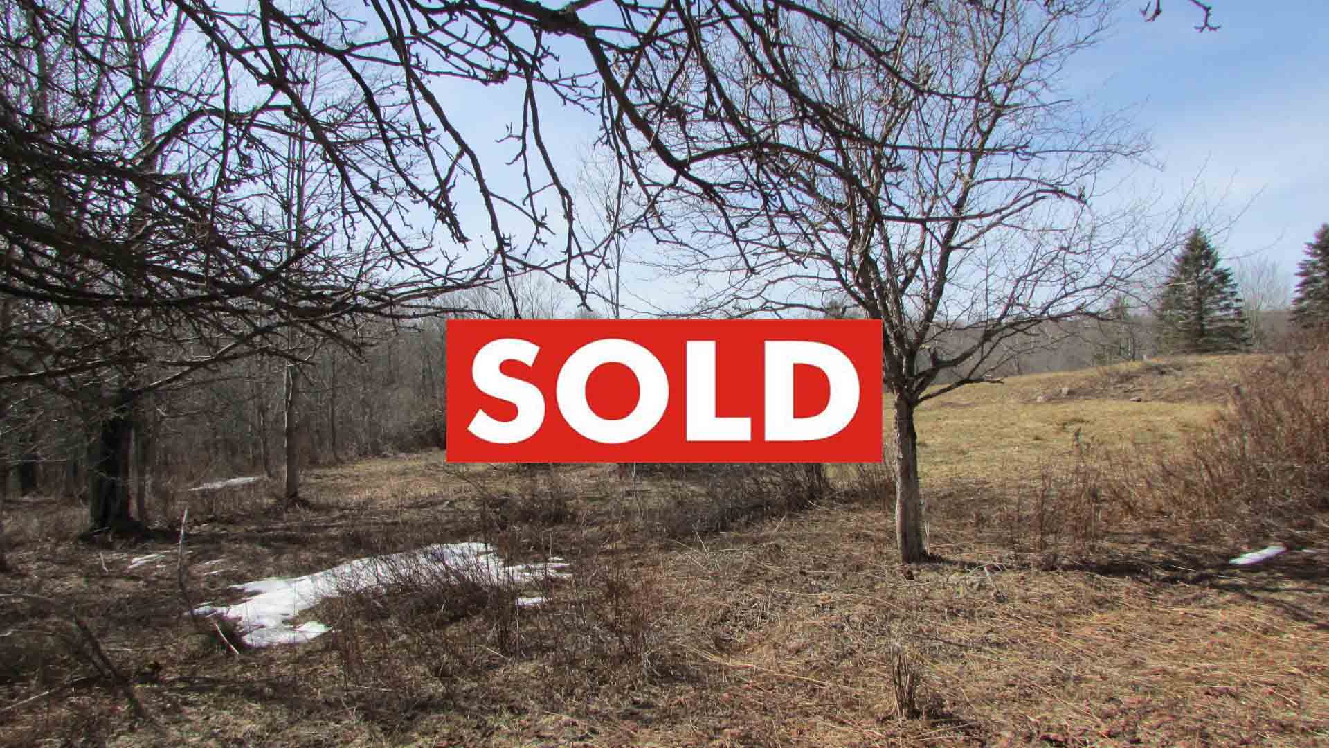 “CLASSIC ROCKland” – 1.6 Fertile Acres Rockland NY Sullivan County – Level – Stream – Views – RVs OK – Min Rt 17 & Roscoe – Only $15,900!