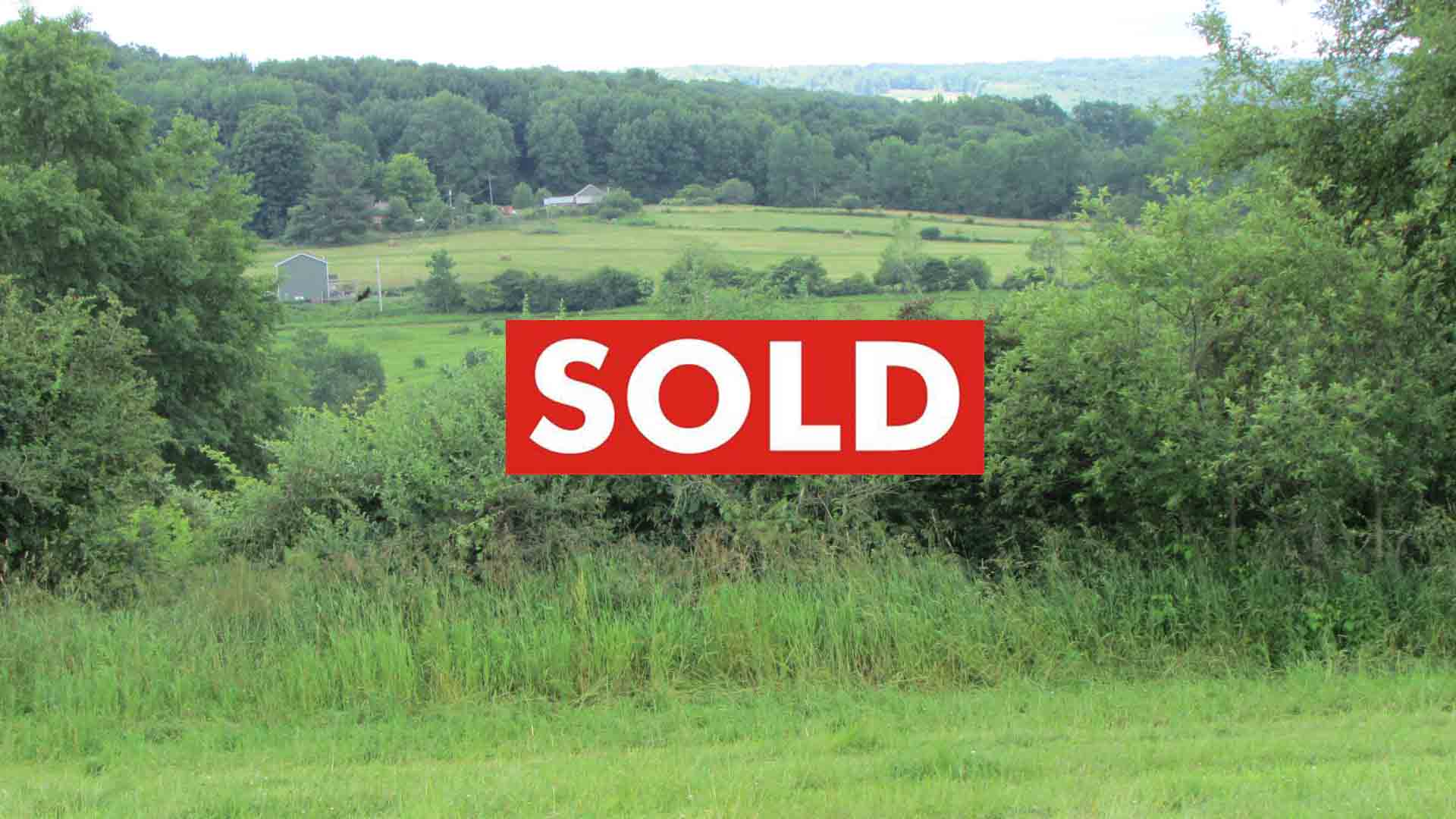 2.76 “GREEN ACRES” N. Lisbon, NY – Level fields – D/w – Mt views – Electric – No zoning – 3.5 hrs/NYC – Only $16,900
