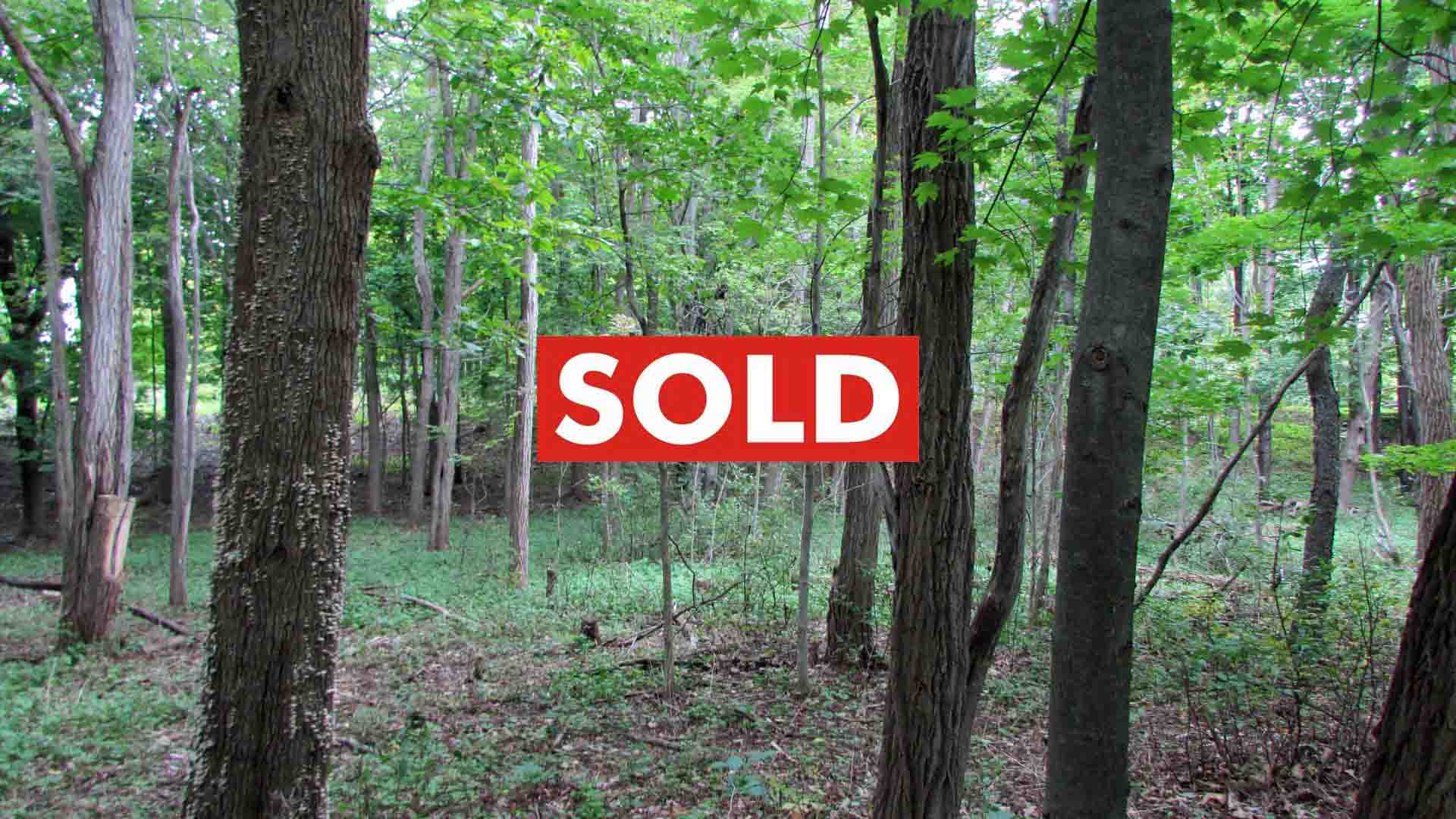 “TGIG” .77 Acre Commercial Building Lot, Greene County – Mostly level. Moderately wooded – Electric – Mt views – Mins/skiing – 2 hrs/NYC – Only $19,900!