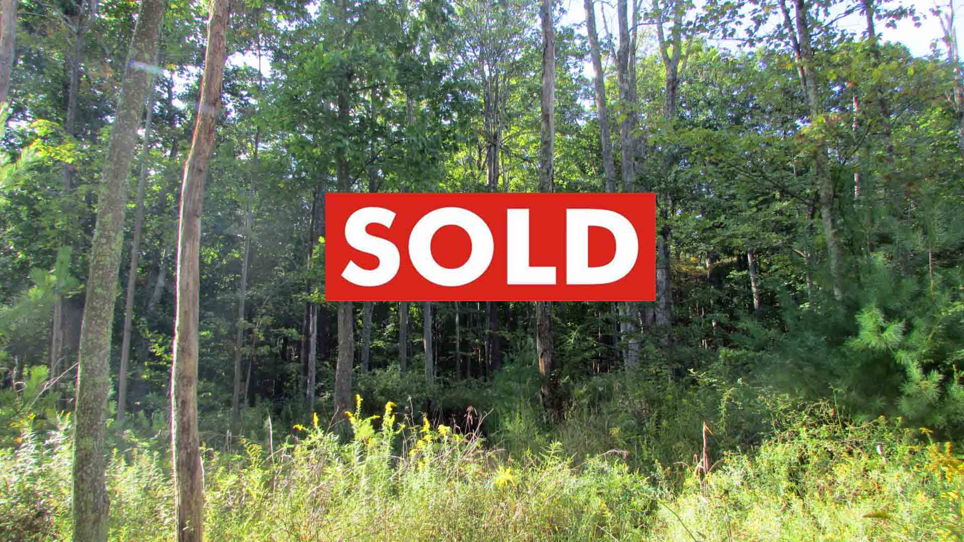 Get in “The GAME” for only $499 dn!  .46 Secluded Acres, Wurtsboro – Level – Wooded – Mt views – Town rd – Electric – Mins/State Land- Only $12,900