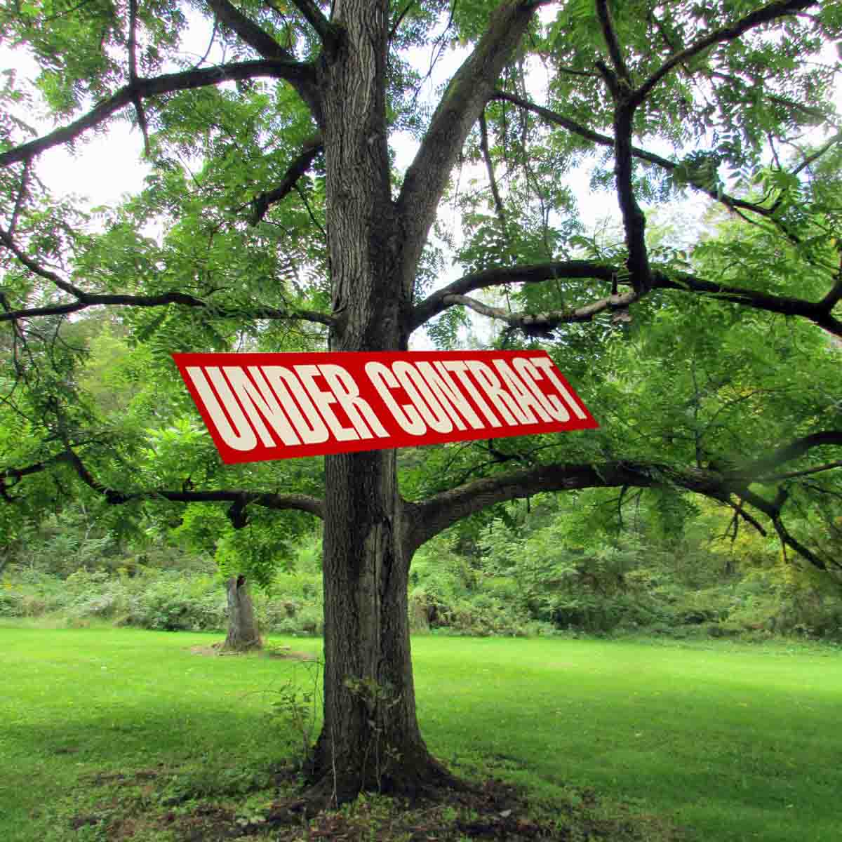 “HEAVEN SENT” – 1.75 Park-Like Acres, Chenango County – Level, Manicured Front – Wooded rear – Stream – 3 hr/GWB – No zoning code! RVs OK!!! – $14,900!