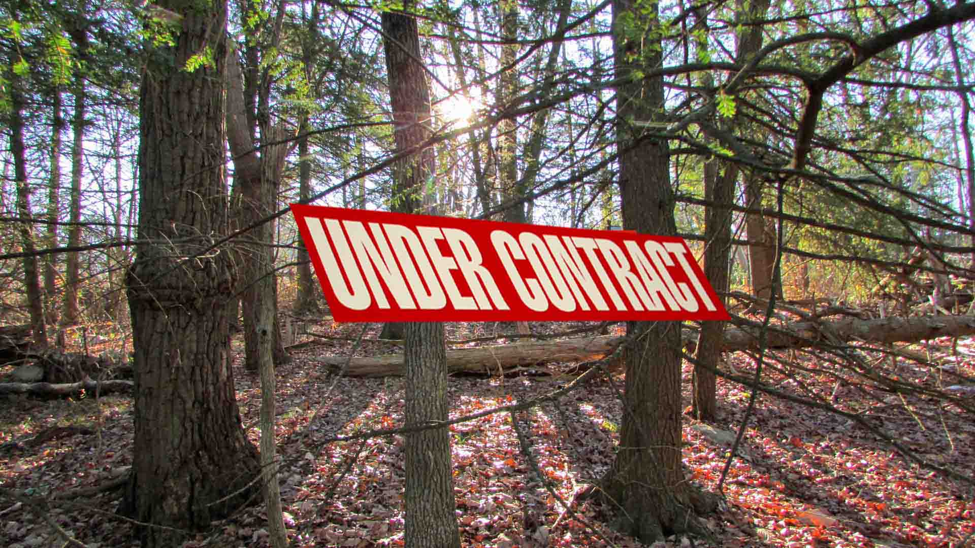 “HOPE & DREAMS”  3 Adjoining Lots = .46 Acre Building Lot Wurtsboro, NY – Only $499 down! Mt views – Town Rd. – Mins Metro N. – Electric – 90 mins/NYC