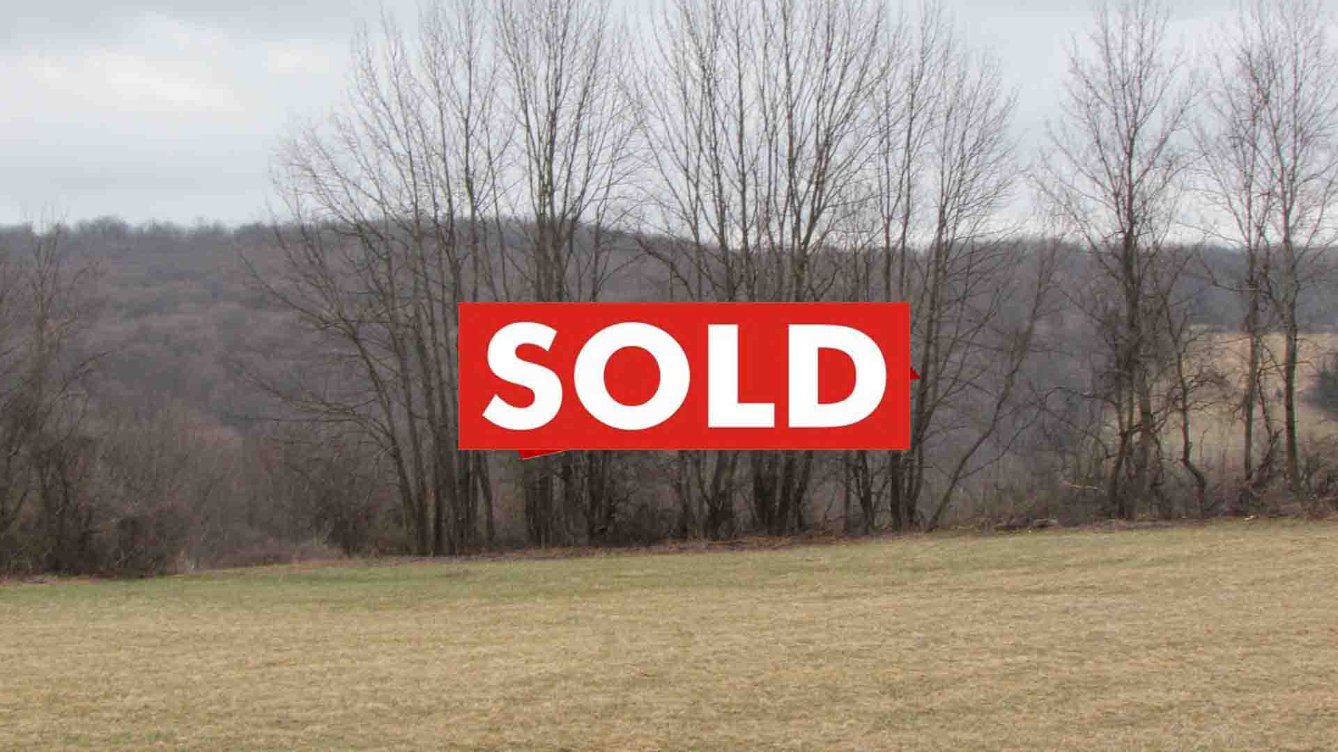 “MIDNIGHT PASTURE” – 3 Prime Acres – Plymouth NY – Level & Cleared – Animal pen & stalls – Mt Views – F/T RVs OK!! – No Zoning Restrictions – 3.5 hrs/NYC – Only $21,900!