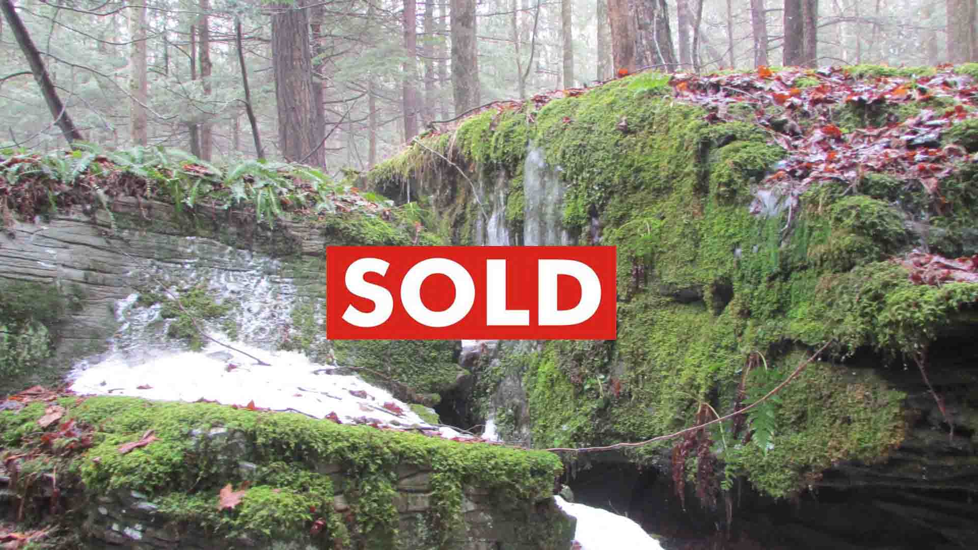 “BI-COUNTY BEAUTY” 5+ acres Schoharie & Delaware Counties – RVs OK – Level-Wooded-Priv. Rd-Electric-No zoning! 3 hrs/NYC- Only $24,900!