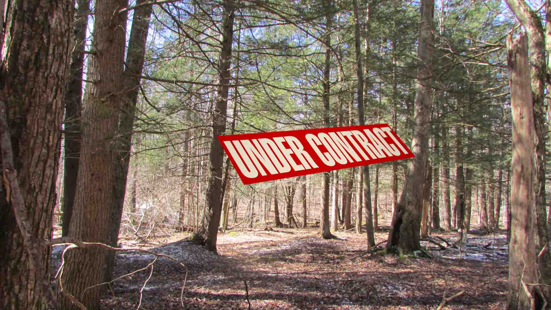 7 “Beyond Sweet” Acres  Hancock, NY – Private Rd. – Electric – Level to varying Terrain – Stream – Deeded rights/Delaware River – Bluestone deposit – Logging trail -RVs OK!!  Under 3 hrs/NYC!! Only $28,900!