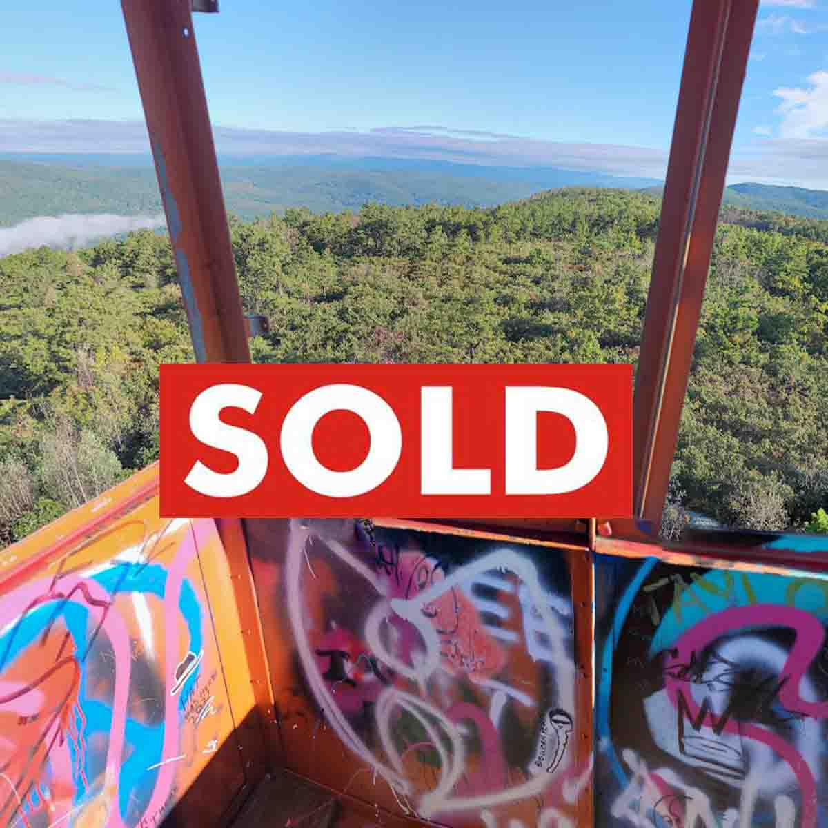 “FIRE TOWER” on the Mt. – .46 acre building lot Wurtsboro, NY – Level-Wooded-Electric- 90 mins/NYC – Only $14,900!