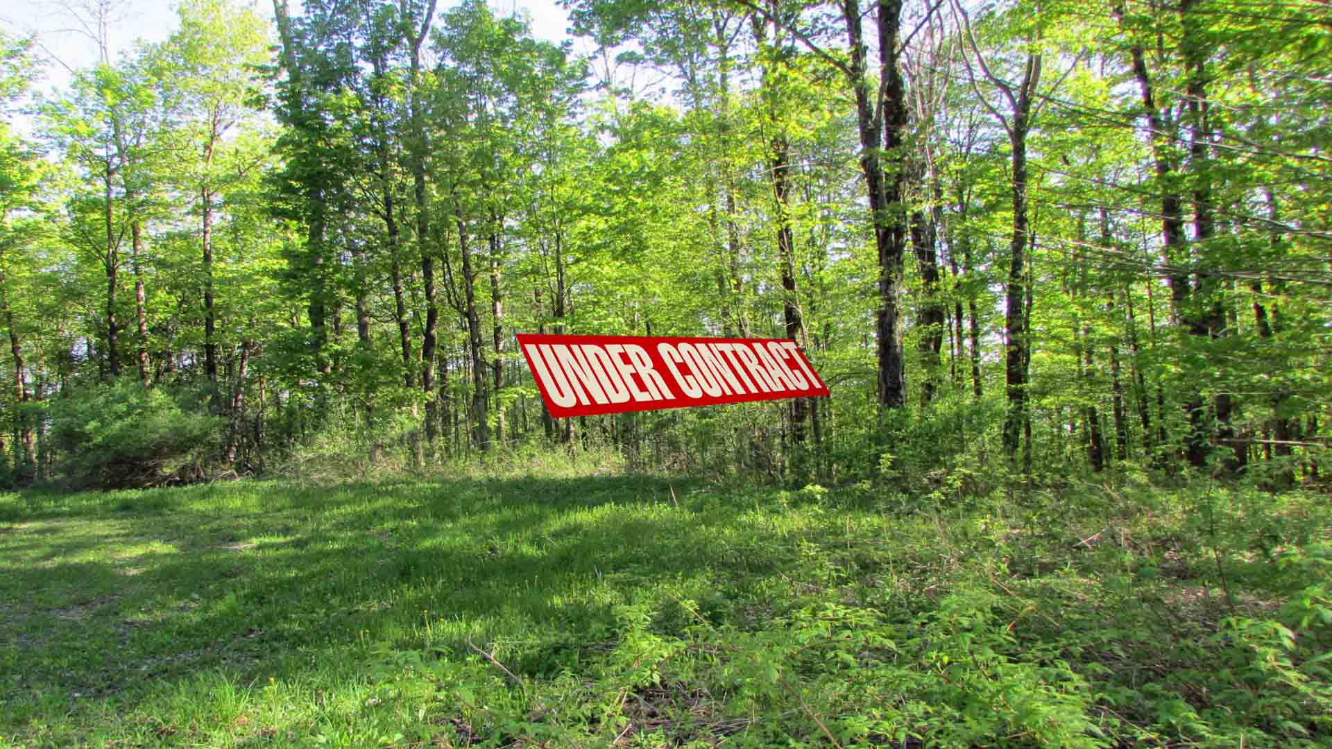 “WOODPECKER WAY” 5.4 Private Acres, Smyrna, NY, Level to Rolling, Wooded, Seasonal rd, Ideal Off-Grid cabin or Hunting Camp, 3+ hrs/NYC, Only $22,500!