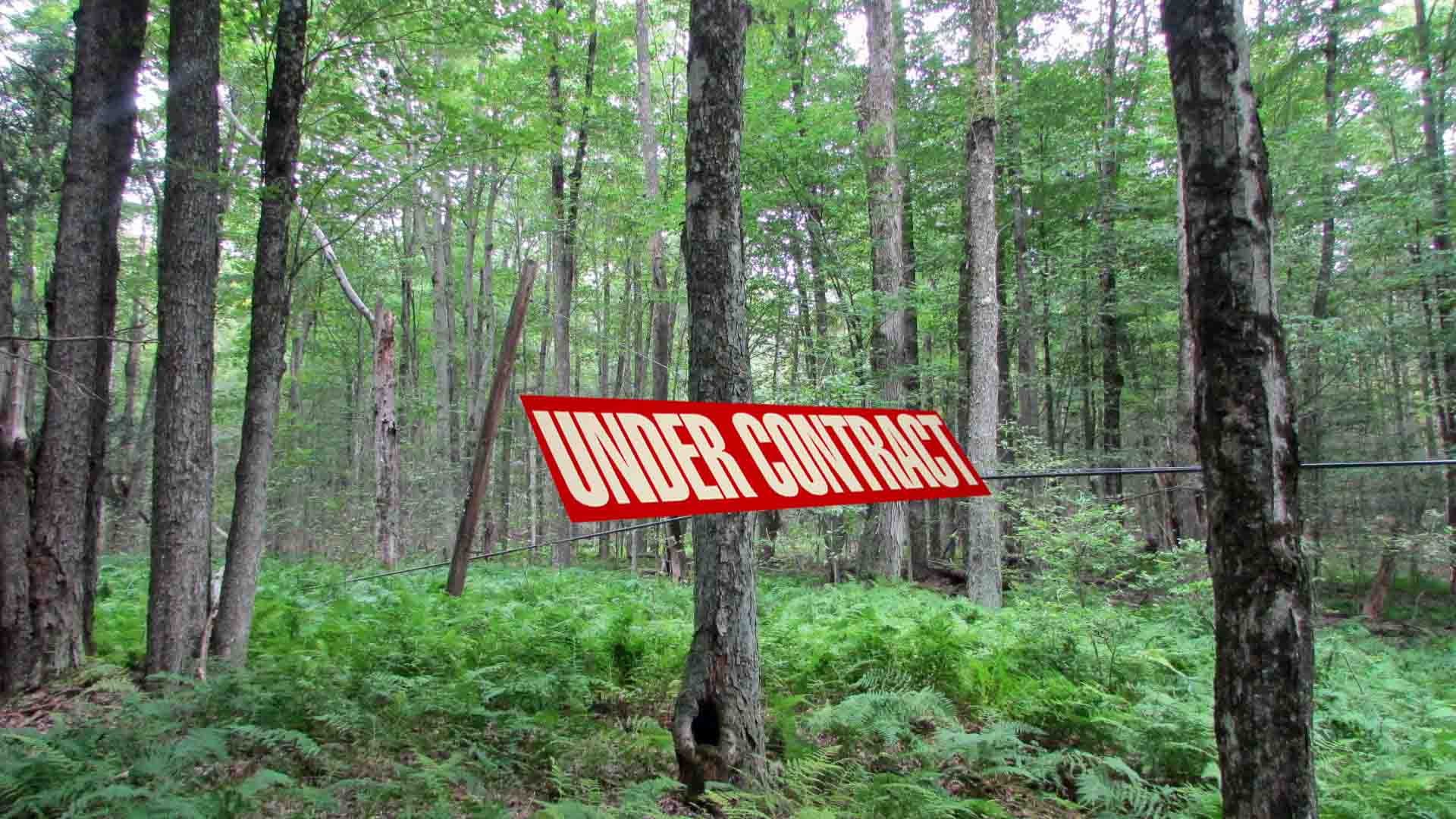 “CARPE DIEM” Seize the day – Classic 1.1 Acre Lot – Swan Lake, NY – Heart of Sullivan County – Level – Wooded – Town rd. – Electric – Great loc – 2 hrs/NYC – Only $18,900!