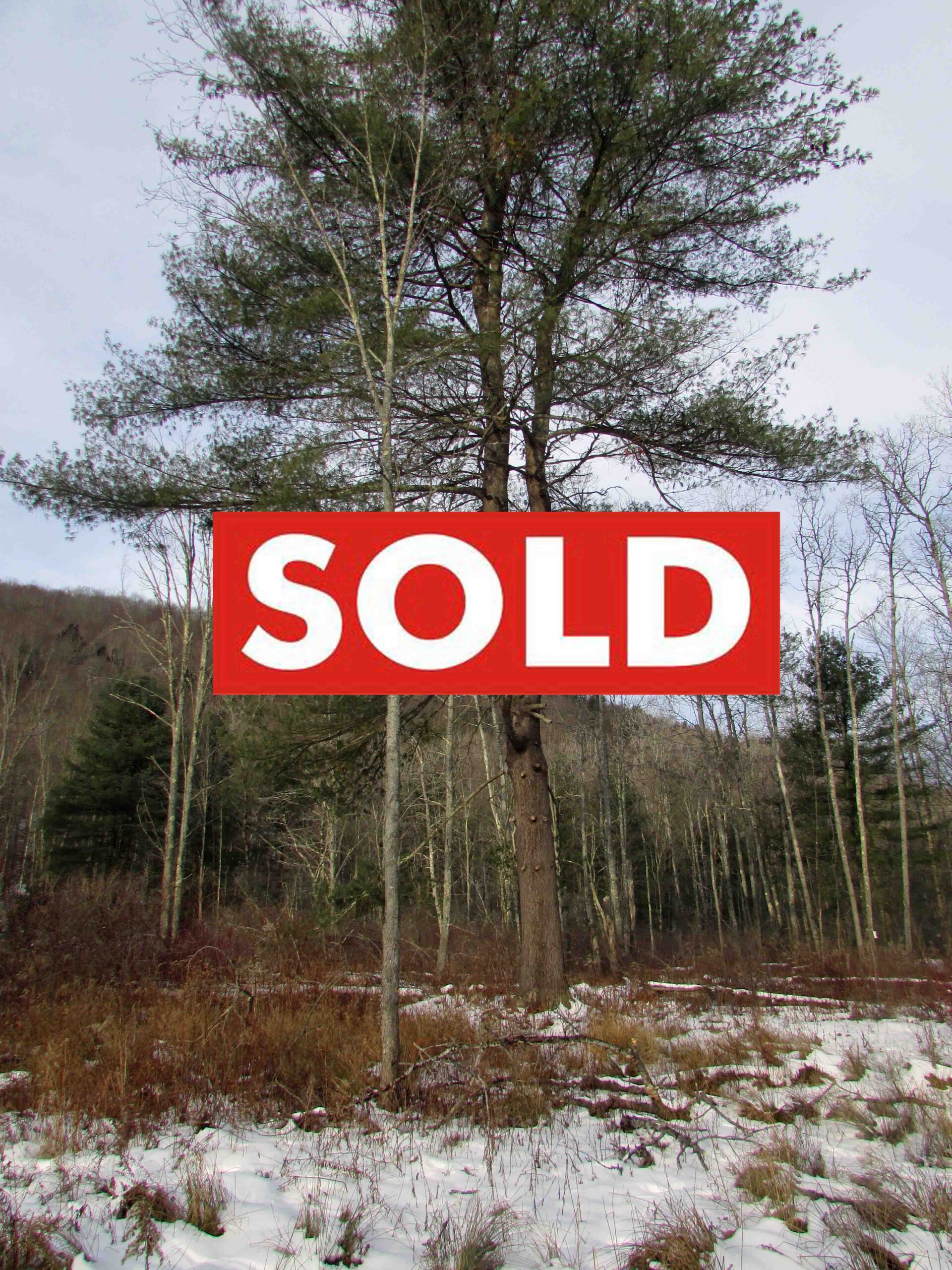 “Four(4) CORNERS” Conklin, NY  .64 Acre Building Lot – Level – Driveway – Stream – Mt views – Town rd. – Electric – 15 mins/Binghamton – 3 hrs/NYC – Only $12,900!