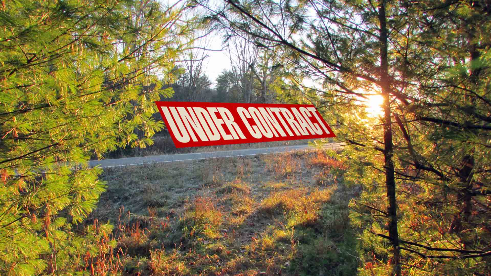 “NARROWSBURG NICHE” 1.4 Acre Building Lot – Level – Water & Sewer – Part wooded/cleared – Stream – RV OK! – Mt views – Walk to Delaware – 2 hrs/NYC – Only $25,900