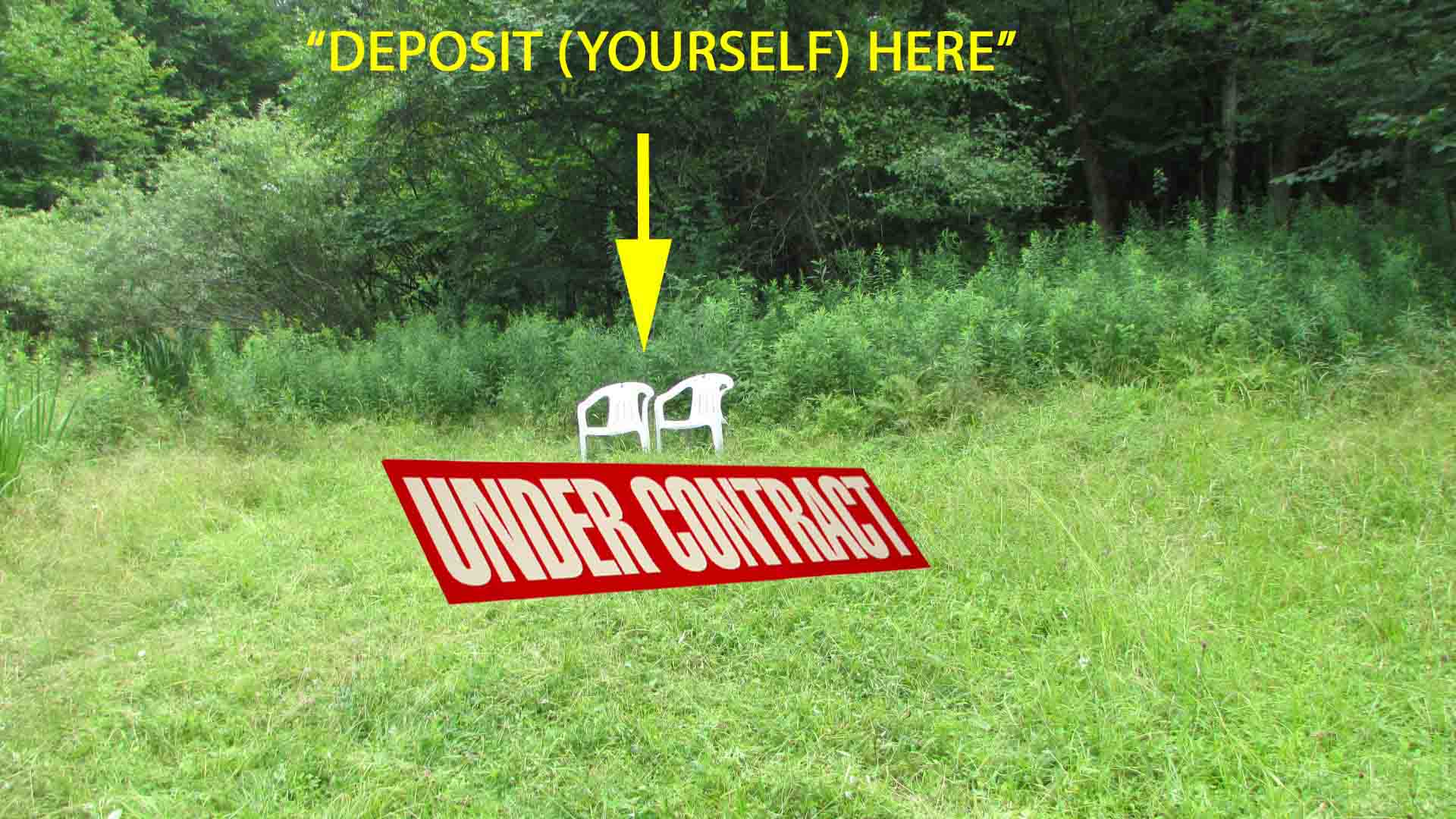 “DEPOSIT HERE” 4 Choice Acres Deposit, NY – Part clear/wooded – Level to Rolling terrain – Electric- Driveway – 3 hr NYC – Mins to fishing & state land –  Only $23,900!