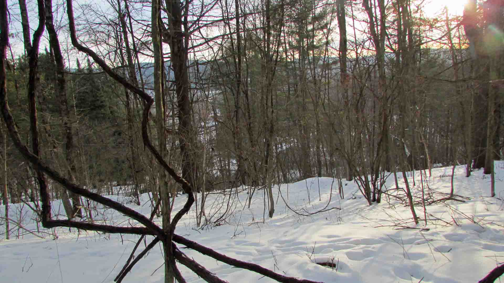 “The CROWN” of Windsor, NY – 1.2 Country Acres – Mt views – Town rd. – Municipal water! – Electric – Walk to town – 3 hrs/NYC – Only $16,500!
