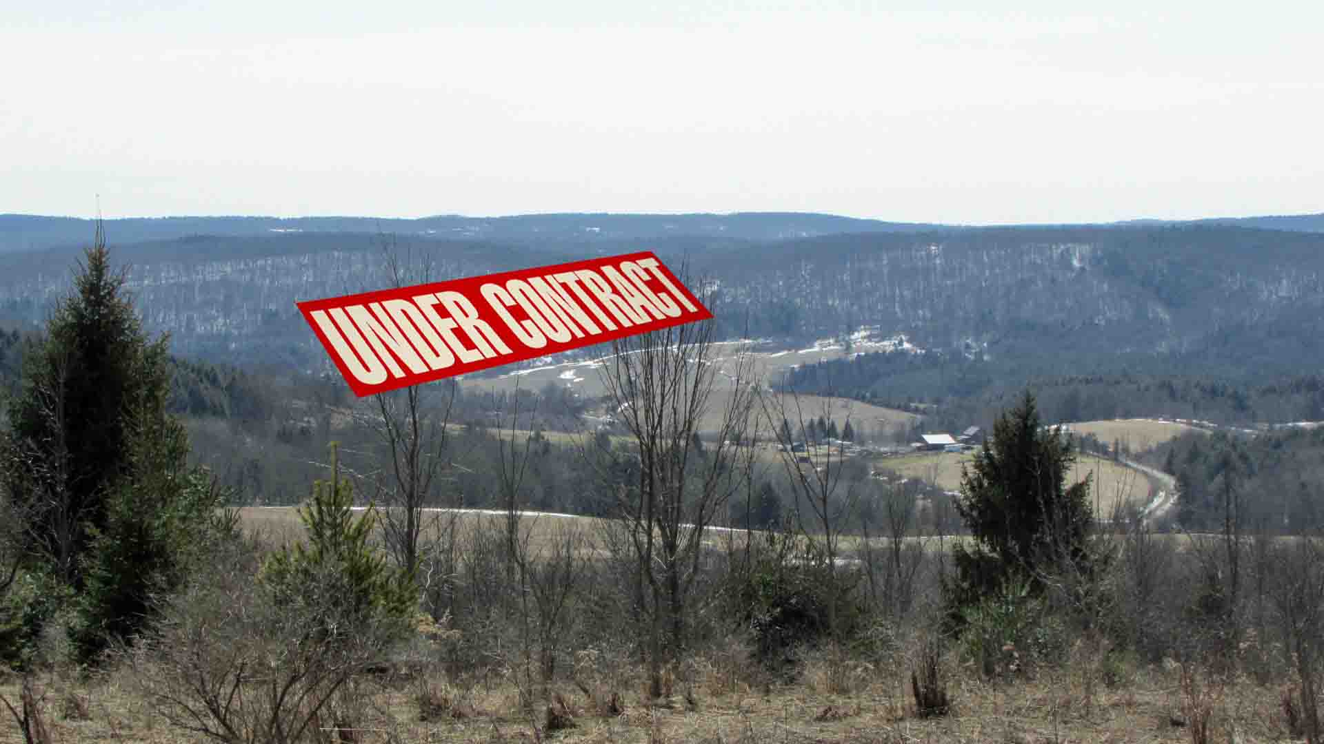 “VALLEY VIEW” – Nine (9) Scenic Acres Smyrna NY – Priv. rd – Mt & Valley views – Level/Cleared homesite – RVs OK! – 3 1/2  hrs/NYC – $32,900!