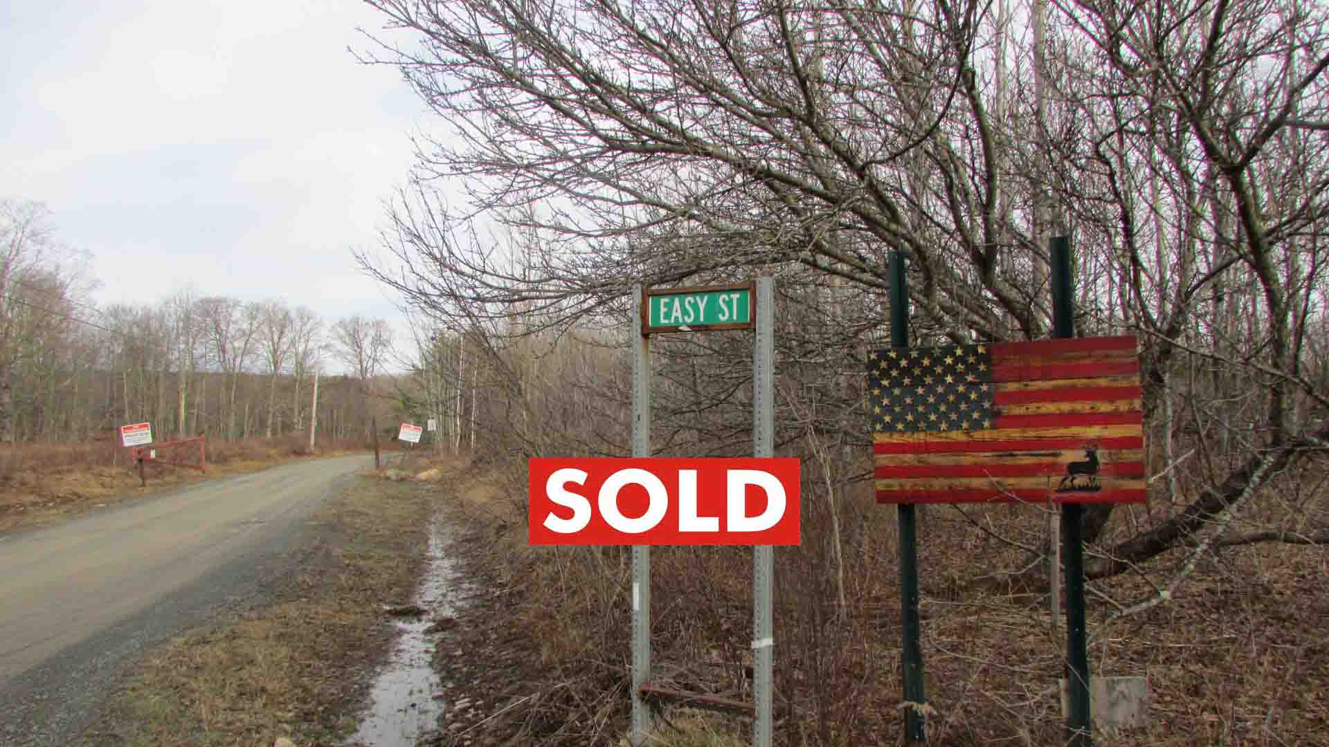 4.3 Acres on “EASY STREET” – Davenport NY – Level – Wooded – Lake view – Easy drive-on – Electric -No town zoning – RVs OK! – $19,900!!