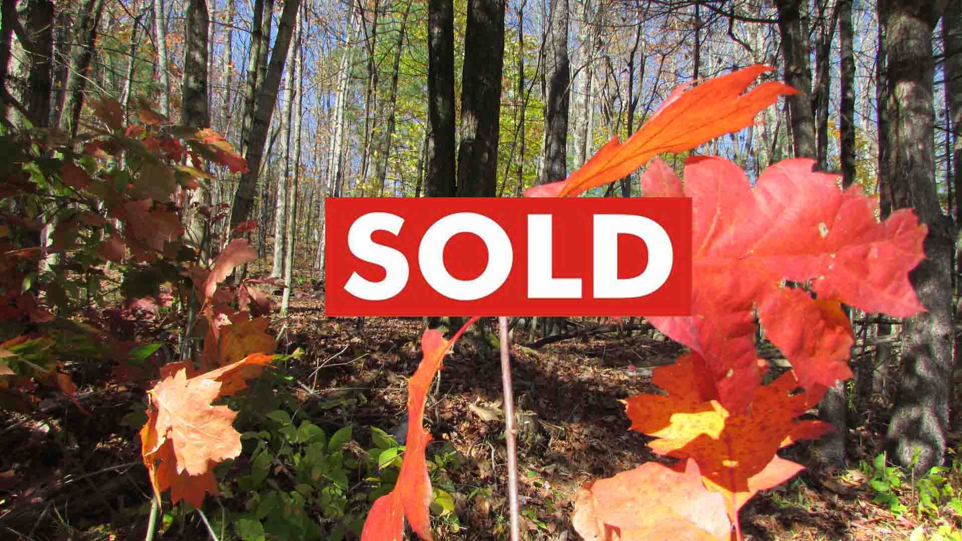 Enjoy ‘FALL’ in Fenton – 2.5 Country Acres – Level – Wooded – Mt Views – Town Rd. – Electric – P/T RVs Ok! – Only $24,900!